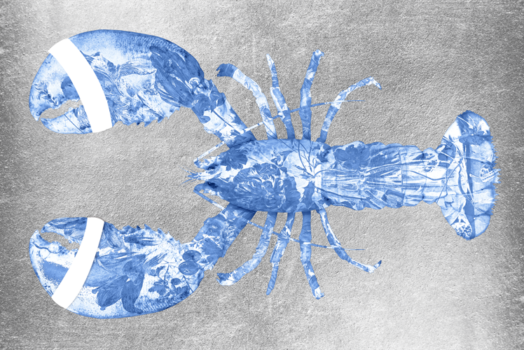 Lobster Silver Blue horizontaal- plexiglas schilderij - kunst