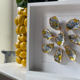 Lemon big 35x35cm - Ingelijste oesters- plexiglas schilderij - kunst