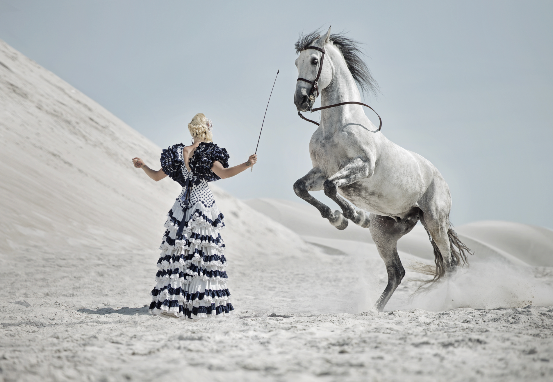 Horse Tamer- plexiglas schilderij - kunst