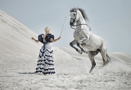 Horse Tamer- plexiglas schilderij - kunst